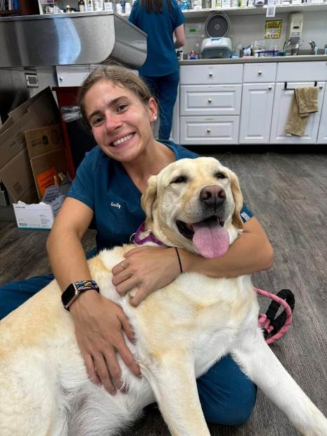 vet tech with happy dog vet tech with happy dog