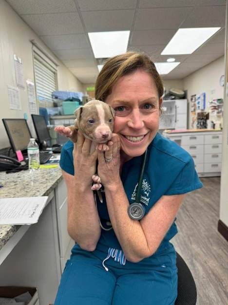 vet tech with puppy vet tech with puppy
