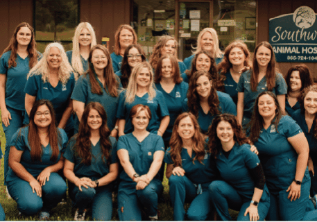 southwind animal hospital staff